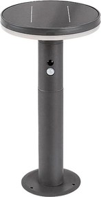 Stalp LED solar cu senzor iluminat exterior IP44 Alaska