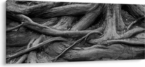Tablou - Rădăcinile copacului (120x50 cm)