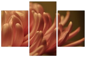Tablou cu detailu florii (90x60 cm)
