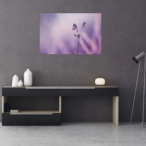 Tablou - Fluturi mov (90x60 cm)