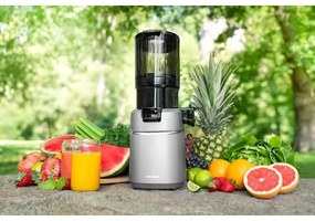 Storcător melcat pentru fructe și legume Concept LO7120 JUICY 250W/230V gri