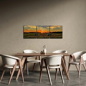 Tablou - Baloți din sat (cu ceas) (90x30 cm)