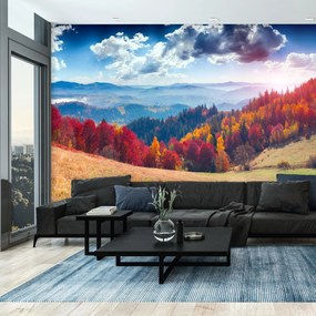 Fototapet - Pădurea toamna (147x102 cm)