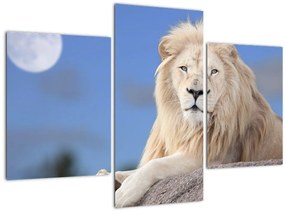 Tablou - Leu alb (90x60 cm)