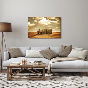 Tablou cu luncă (90x60 cm)