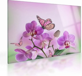 Tablou pe sticlă - Fluture pe flori de orhidee, liliac (70x50 cm)
