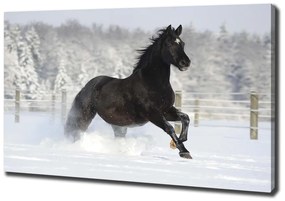 Imprimare tablou canvas Un cal în galop de zăpadă