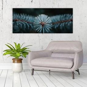 Tablou -Crenguțe ale unui conifer (120x50 cm)