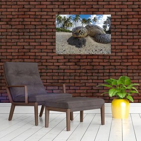 Tablou cu broască țestoasă (70x50 cm)