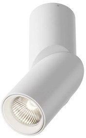 Spot LED aplicat directionabil design tehnic Dafne alb 4000K