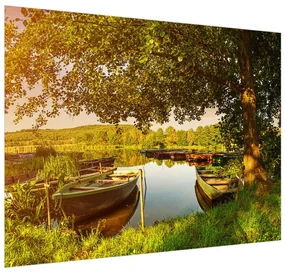 Tapet T012046T200150 (200x150 cm), în 8 de alte dimensiuni noi