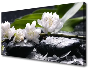 Tablou pe panza canvas Pietre florale flori alb negru