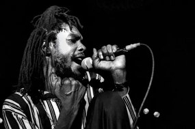 Fotografie Peter Tosh in concert/Roma, 1980