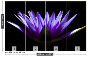 Fototapet Purple Lotus