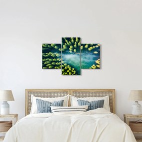 Tablou - O pădure învăluită în ceață (90x60 cm)