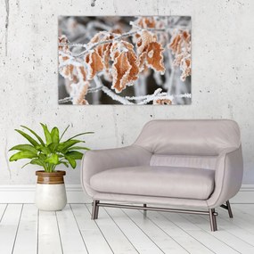 Tablou - Frunze înghețate (90x60 cm)