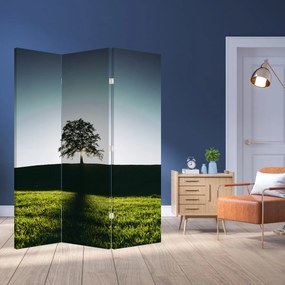 Paravan - Copac (126x170 cm)