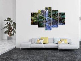 Tablou cu pădurea ploilor din Austalia (150x105 cm)
