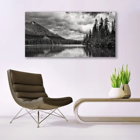 Tablou pe panza canvas Mountain Forest Lake Nature Gray