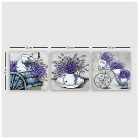 Tablouri 3 buc. 30x30 cm Lavender – Wallity