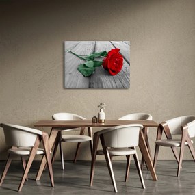 Tablou - Trandafir roșu cu tulpină verde (70x50 cm)