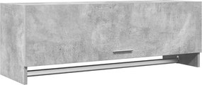 vidaXL Șifonier, gri beton, 100x32,5x35 cm, PAL