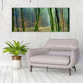 Tablou cu pădure (120x50 cm), în 40 de alte dimensiuni noi