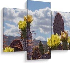 Tablou cu floarea de cactus Opunție (90x60 cm)