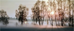 Tablou - Dimineața mohorâtă (120x50 cm)