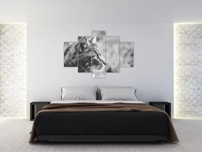 Tablou - Pisica (150x105 cm)