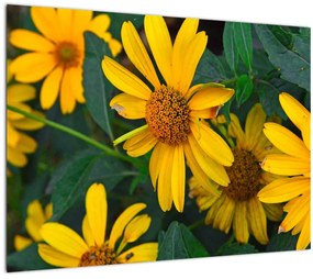 Tablou cu flori galbene (70x50 cm), în 40 de alte dimensiuni noi