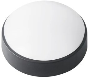 LED plafonieră exterior 14W 230V IP54 negru
