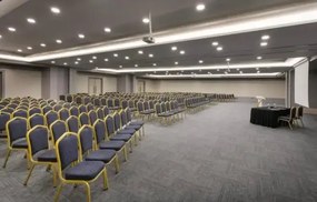 Scaun evenimente Hilton,Visiniu