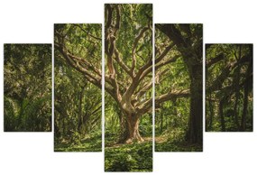 Tablou cu copaci (150x105 cm)