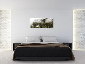 Tablou - Pădure în nori (120x50 cm)