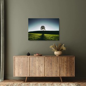 Tablou pe sticlă cu natura - copac (70x50 cm)