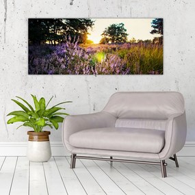 Tablou - Câmp cu lavandă (120x50 cm)