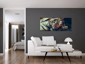 Tablou - Tigrul Siberian (120x50 cm)