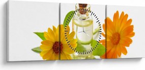 Tablou cu ulei de flori (cu ceas) (90x30 cm)