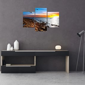 Tablou - Pescărușul zboară deasupra coastei (90x60 cm)
