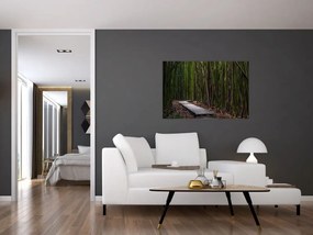Tablou - Între bambus (90x60 cm)