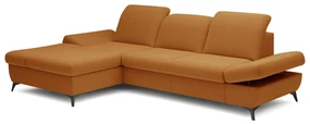 Colțar Harpie (scorțișoară) (S). 1097984