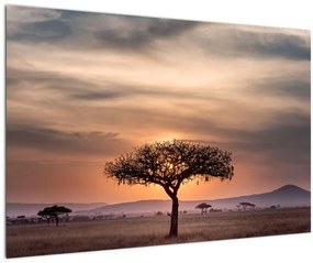 Tablou apusului de soare în Tanzania (90x60 cm)