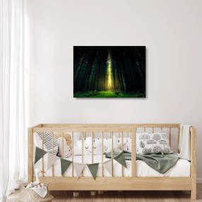 Tablou pe sticlă cu pădurea întunecată (70x50 cm)