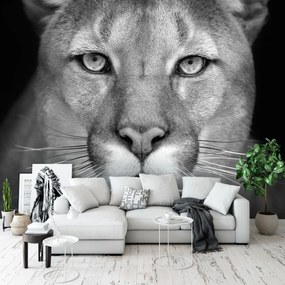 Fototapet - Leoaică (254x184 cm)