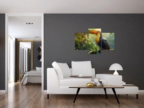 Tablou - Tukan (90x60 cm)