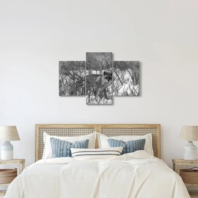 Tablou - Vulpe în timpul iernii (90x60 cm)