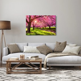 Tablou - Cireși înfloriți, Hurd Park, Dover, New Jersey (90x60 cm)