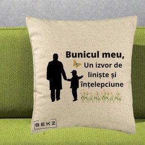 Cadou pentru Bunic - Perna Personalizata Bunicul Meu Izvor de Liniste cu Fluture si Baietel, 40x40 cm, Bej, Husa Detasabila, Perna Inclusa, BEKZ®