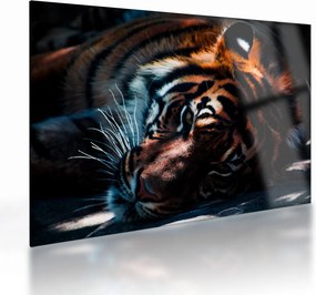 Tablou pe sticlă cu tigrul dormind (70x50 cm)